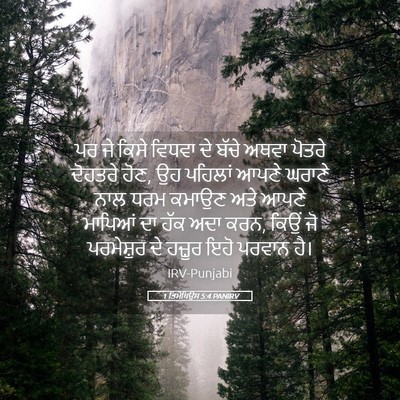 Picture 05 - 1 ਤਿਮੋਥਿਉਸ 5:4 PANIRV - ਪਰ ਜੇ ਕਿਸੇ ਵਿਧਵਾ ਦੇ - Bible Verse Picture
