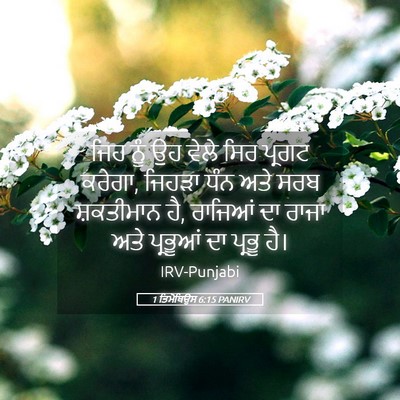Picture 05 - 1 ਤਿਮੋਥਿਉਸ 6:15 PANIRV - ਜਿਹ ਨੂੰ ਉਹ ਵੇਲੇ ਸਿਰ - Bible Verse Picture
