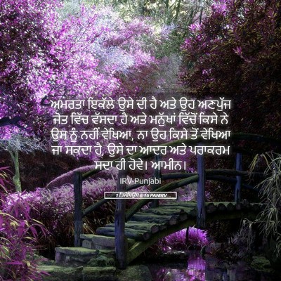 Picture 05 - 1 ਤਿਮੋਥਿਉਸ 6:16 PANIRV - ਅਮਰਤਾ ਇਕੱਲੇ ਉਸੇ ਦੀ - Bible Verse Picture