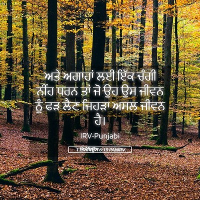 Picture 05 - 1 ਤਿਮੋਥਿਉਸ 6:19 PANIRV - ਅਤੇ ਅਗਾਹਾਂ ਲਈ ਇੱਕ - Bible Verse Picture