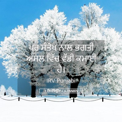 Picture 05 - 1 ਤਿਮੋਥਿਉਸ 6:6 PANIRV - ਪਰ ਸੰਤੋਖ ਨਾਲ ਭਗਤੀ - Bible Verse Picture
