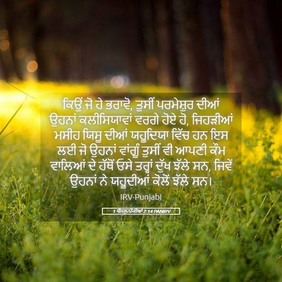 Picture 05 - 1 ਥੱਸਲੁਨੀਕੀਆਂ 2:14 PANIRV - ਕਿਉਂ ਜੋ ਹੇ ਭਰਾਵੋ, - Bible Verse Picture