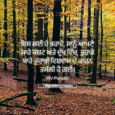 Picture 05 - 1 ਥੱਸਲੁਨੀਕੀਆਂ 3:7 PANIRV - ਇਸ ਲਈ ਹੇ ਭਰਾਵੋ, - Bible Verse Picture
