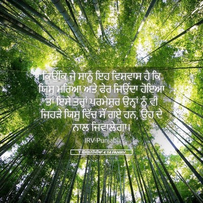 Picture 05 - 1 ਥੱਸਲੁਨੀਕੀਆਂ 4:14 PANIRV - ਕਿਉਂਕਿ ਜੇ ਸਾਨੂੰ ਇਹ - Bible Verse Picture