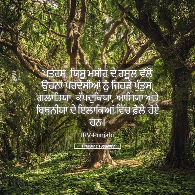 Picture 05 - 1 ਪਤਰਸ 1:1 PANIRV - ਪਤਰਸ, ਯਿਸੂ ਮਸੀਹ ਦੇ - Bible Verse Picture