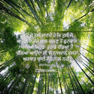 Picture 05 - 1 ਪਤਰਸ 1:18 PANIRV - ਕਿਉਂ ਜੋ ਤੁਸੀਂ - Bible Verse Picture