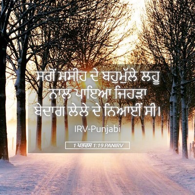 Picture 05 - 1 ਪਤਰਸ 1:19 PANIRV - ਸਗੋਂ ਮਸੀਹ ਦੇ - Bible Verse Picture