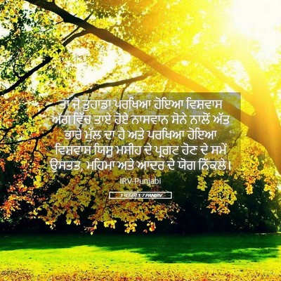 Picture 05 - 1 ਪਤਰਸ 1:7 PANIRV - ਤਾਂ ਜੋ ਤੁਹਾਡਾ - Bible Verse Picture