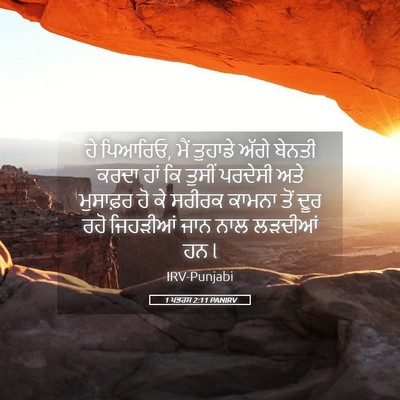 Picture 05 - 1 ਪਤਰਸ 2:11 PANIRV - ਹੇ ਪਿਆਰਿਓ, ਮੈਂ - Bible Verse Picture