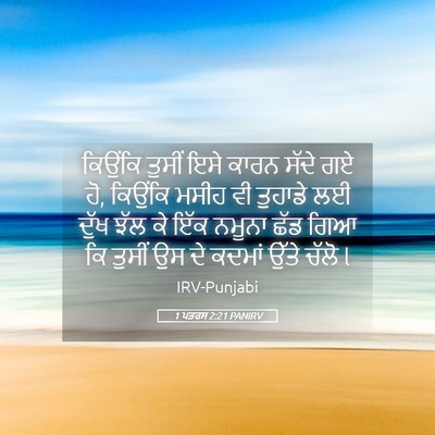Picture 05 - 1 ਪਤਰਸ 2:21 PANIRV - ਕਿਉਂਕਿ ਤੁਸੀਂ ਇਸੇ - Bible Verse Picture