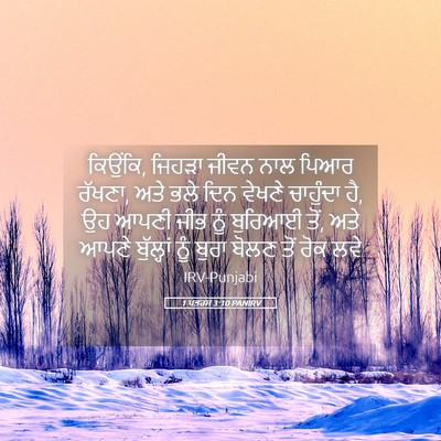 Picture 05 - 1 ਪਤਰਸ 3:10 PANIRV - ਕਿਉਂਕਿ, ਜਿਹੜਾ ਜੀਵਨ - Bible Verse Picture