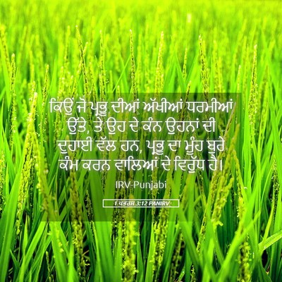 Picture 05 - 1 ਪਤਰਸ 3:12 PANIRV - ਕਿਉਂ ਜੋ ਪ੍ਰਭੂ ਦੀਆਂ - Bible Verse Picture