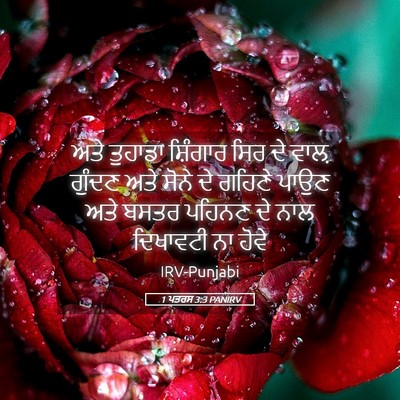 Picture 05 - 1 ਪਤਰਸ 3:3 PANIRV - ਅਤੇ ਤੁਹਾਡਾ - Bible Verse Picture