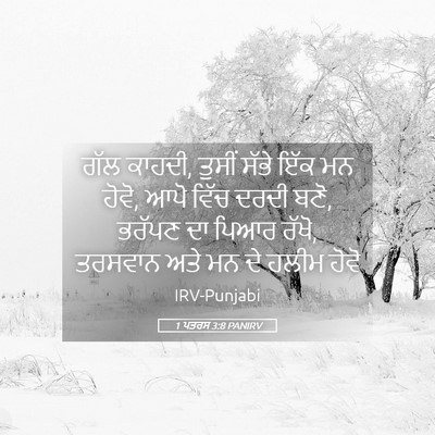 Picture 05 - 1 ਪਤਰਸ 3:8 PANIRV - ਗੱਲ ਕਾਹਦੀ, ਤੁਸੀਂ - Bible Verse Picture