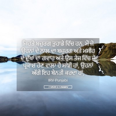 Picture 05 - 1 ਪਤਰਸ 5:1 PANIRV - ਜਿਹੜੇ ਬਜ਼ੁਰਗ - Bible Verse Picture