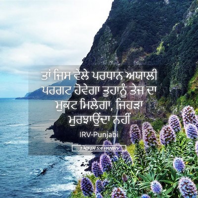 Picture 05 - 1 ਪਤਰਸ 5:4 PANIRV - ਤਾਂ ਜਿਸ ਵੇਲੇ ਪਰਧਾਨ - Bible Verse Picture