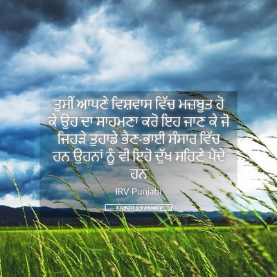 Picture 05 - 1 ਪਤਰਸ 5:9 PANIRV - ਤੁਸੀਂ ਆਪਣੇ - Bible Verse Picture