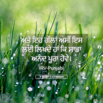 Picture 05 - 1 ਯੂਹੰਨਾ 1:4 PANIRV - ਅਤੇ ਇਹ ਗੱਲਾਂ ਅਸੀਂ - Bible Verse Picture