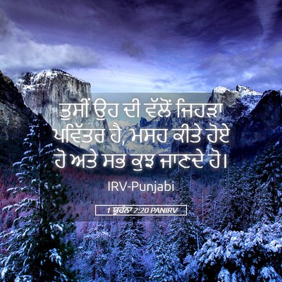 Picture 05 - 1 ਯੂਹੰਨਾ 2:20 PANIRV - ਤੁਸੀਂ ਉਹ ਦੀ ਵੱਲੋਂ - Bible Verse Picture