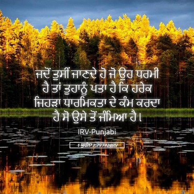 Picture 05 - 1 ਯੂਹੰਨਾ 2:29 PANIRV - ਜਦੋਂ ਤੁਸੀਂ ਜਾਣਦੇ - Bible Verse Picture