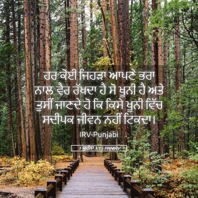 Picture 05 - 1 ਯੂਹੰਨਾ 3:15 PANIRV - ਹਰ ਕੋਈ ਜਿਹੜਾ ਆਪਣੇ - Bible Verse Picture