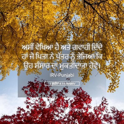 Picture 05 - 1 ਯੂਹੰਨਾ 4:14 PANIRV - ਅਸੀਂ ਵੇਖਿਆ ਹੈ ਅਤੇ - Bible Verse Picture