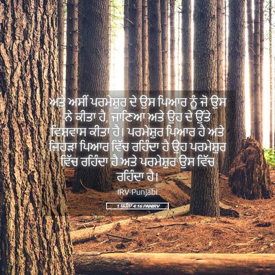 Picture 05 - 1 ਯੂਹੰਨਾ 4:16 PANIRV - ਅਤੇ ਅਸੀਂ ਪਰਮੇਸ਼ੁਰ - Bible Verse Picture