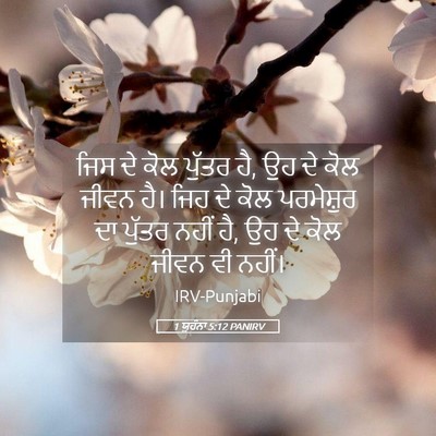 Picture 05 - 1 ਯੂਹੰਨਾ 5:12 PANIRV - ਜਿਸ ਦੇ ਕੋਲ ਪੁੱਤਰ - Bible Verse Picture