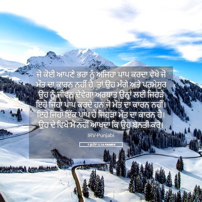 Picture 05 - 1 ਯੂਹੰਨਾ 5:16 PANIRV - ਜੇ ਕੋਈ ਆਪਣੇ ਭਰਾ ਨੂੰ - Bible Verse Picture