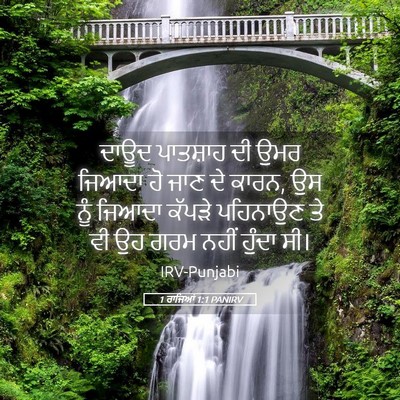 Picture 05 - 1 ਰਾਜਿਆਂ 1:1 PANIRV - ਦਾਊਦ ਪਾਤਸ਼ਾਹ ਦੀ - Bible Verse Picture