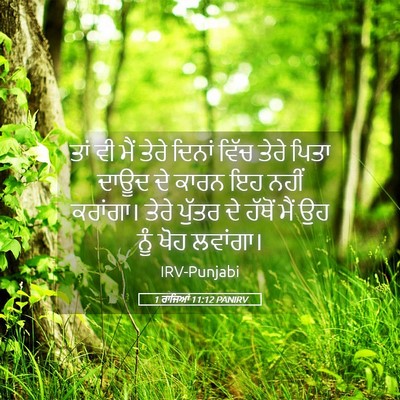 Picture 05 - 1 ਰਾਜਿਆਂ 11:12 PANIRV - ਤਾਂ ਵੀ ਮੈਂ ਤੇਰੇ - Bible Verse Picture