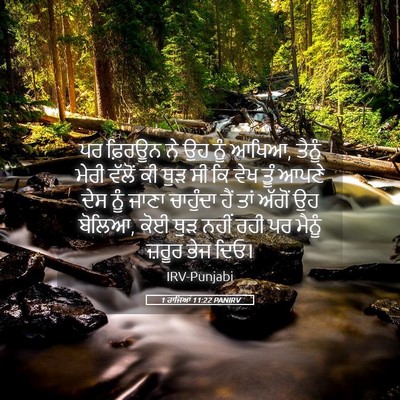 Picture 05 - 1 ਰਾਜਿਆਂ 11:22 PANIRV - ਪਰ ਫ਼ਿਰਊਨ ਨੇ ਉਹ ਨੂੰ - Bible Verse Picture