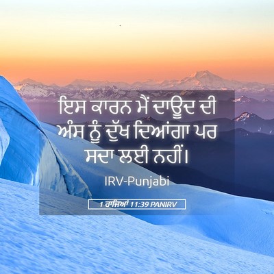 Picture 05 - 1 ਰਾਜਿਆਂ 11:39 PANIRV - ਇਸ ਕਾਰਨ ਮੈਂ ਦਾਊਦ ਦੀ - Bible Verse Picture