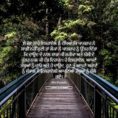 Picture 05 - 1 ਰਾਜਿਆਂ 12:16 PANIRV - ਸੋ ਜਦ ਸਾਰੇ ਇਸਰਾਏਲ - Bible Verse Picture