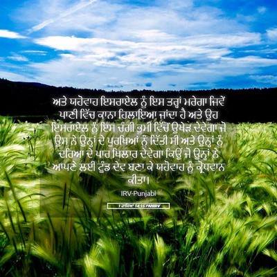 Picture 05 - 1 ਰਾਜਿਆਂ 14:15 PANIRV - ਅਤੇ ਯਹੋਵਾਹ ਇਸਰਾਏਲ - Bible Verse Picture
