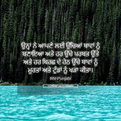 Picture 05 - 1 ਰਾਜਿਆਂ 14:23 PANIRV - ਉਨ੍ਹਾਂ ਨੇ ਆਪਣੇ ਲਈ - Bible Verse Picture