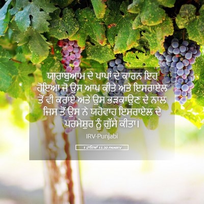Picture 05 - 1 ਰਾਜਿਆਂ 15:30 PANIRV - ਯਾਰਾਬੁਆਮ ਦੇ ਪਾਪਾਂ - Bible Verse Picture