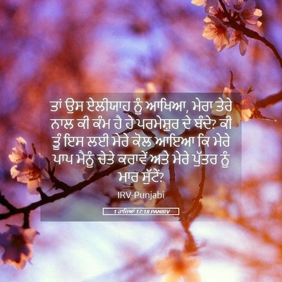 Picture 05 - 1 ਰਾਜਿਆਂ 17:18 PANIRV - ਤਾਂ ਉਸ ਏਲੀਯਾਹ ਨੂੰ - Bible Verse Picture