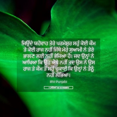 Picture 05 - 1 ਰਾਜਿਆਂ 18:10 PANIRV - ਜਿਉਂਦੇ ਯਹੋਵਾਹ - Bible Verse Picture