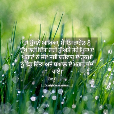 Picture 05 - 1 ਰਾਜਿਆਂ 18:18 PANIRV - ਤਾਂ ਉਸਨੇ ਆਖਿਆ, ਮੈਂ - Bible Verse Picture