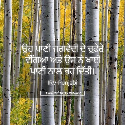 Picture 05 - 1 ਰਾਜਿਆਂ 18:35 PANIRV - ਉਹ ਪਾਣੀ ਜਗਵੇਦੀ ਦੇ - Bible Verse Picture