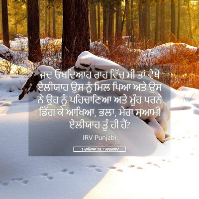Picture 05 - 1 ਰਾਜਿਆਂ 18:7 PANIRV - ਜਦ ਓਬਦਿਆਹ ਰਾਹ ਵਿੱਚ - Bible Verse Picture