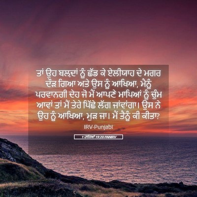 Picture 05 - 1 ਰਾਜਿਆਂ 19:20 PANIRV - ਤਾਂ ਉਹ ਬਲ਼ਦਾਂ ਨੂੰ - Bible Verse Picture