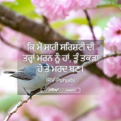 Picture 05 - 1 ਰਾਜਿਆਂ 2:2 PANIRV - ਕਿ ਮੈਂ ਸਾਰੀ - Bible Verse Picture