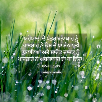 Picture 05 - 1 ਰਾਜਿਆਂ 2:35 PANIRV - ਯਹੋਯਾਦਾ ਦੇ ਪੁੱਤਰ - Bible Verse Picture