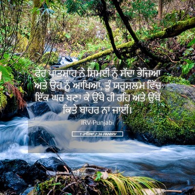 Picture 05 - 1 ਰਾਜਿਆਂ 2:36 PANIRV - ਫੇਰ ਪਾਤਸ਼ਾਹ ਨੇ - Bible Verse Picture