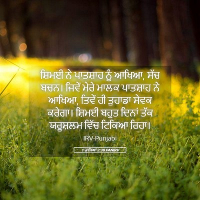 Picture 05 - 1 ਰਾਜਿਆਂ 2:38 PANIRV - ਸ਼ਿਮਈ ਨੇ ਪਾਤਸ਼ਾਹ - Bible Verse Picture