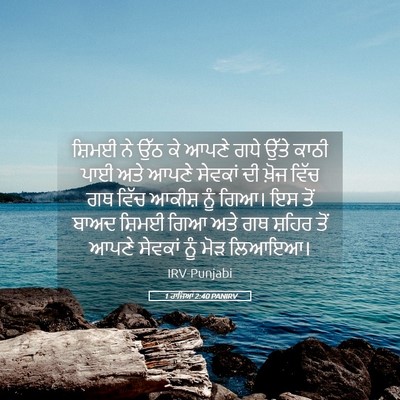 Picture 05 - 1 ਰਾਜਿਆਂ 2:40 PANIRV - ਸ਼ਿਮਈ ਨੇ ਉੱਠ ਕੇ - Bible Verse Picture