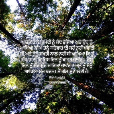 Picture 05 - 1 ਰਾਜਿਆਂ 2:42 PANIRV - ਪਾਤਸ਼ਾਹ ਨੇ ਸ਼ਿਮਈ - Bible Verse Picture