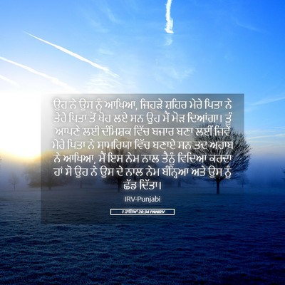 Picture 05 - 1 ਰਾਜਿਆਂ 20:34 PANIRV - ਉਹ ਨੇ ਉਸ ਨੂੰ ਆਖਿਆ, - Bible Verse Picture